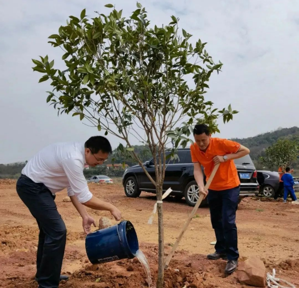 湖南金年会生态环境建设有限公司,人造草坪假草皮,湖南雨水收集处理工艺