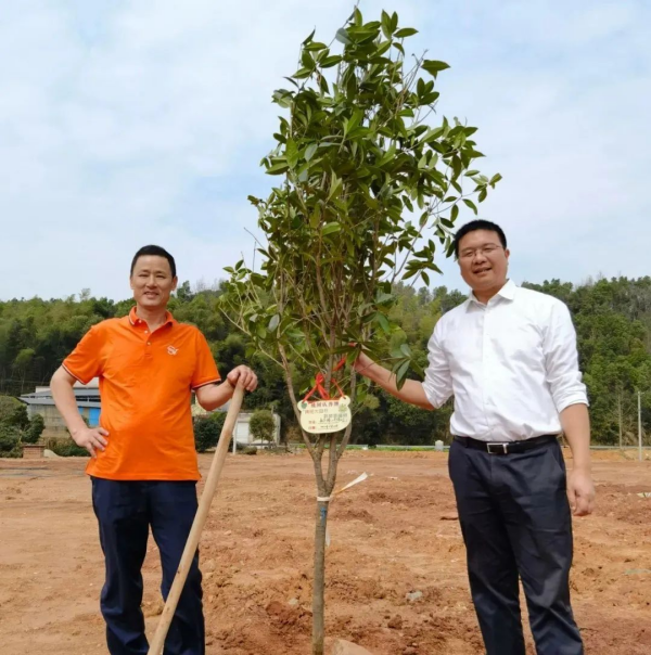 湖南金年会生态环境建设有限公司,人造草坪假草皮,湖南雨水收集处理工艺