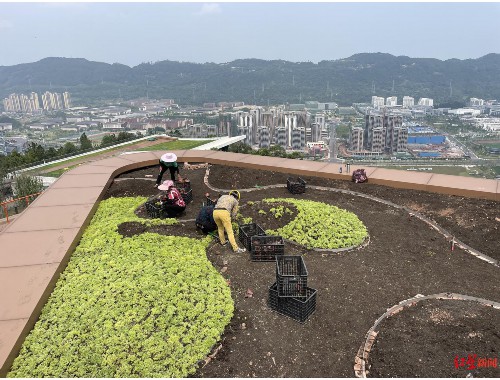 昆山做市政绿化要哪些资质呢