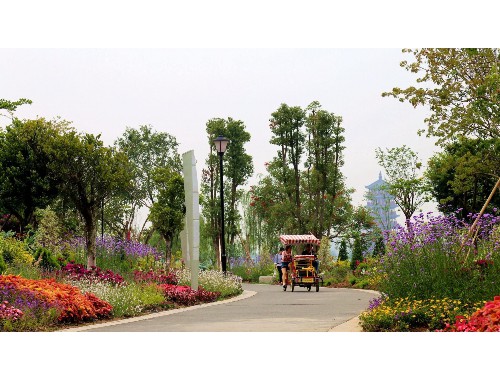 太仓城市绿化带种植什么植物比较好