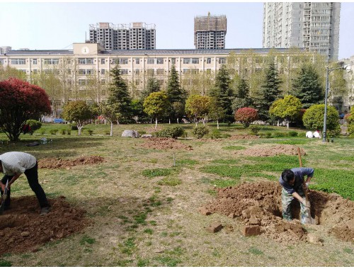 大丰绿化和市容管理局领导班子