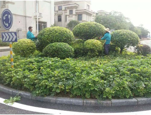 孝感风景园林绿化工程招标