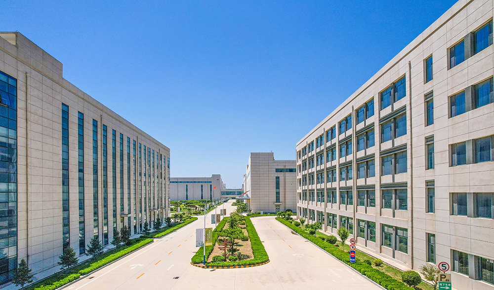 WM��Ѷ����