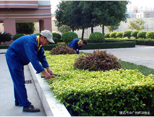 云南绿化工程规范